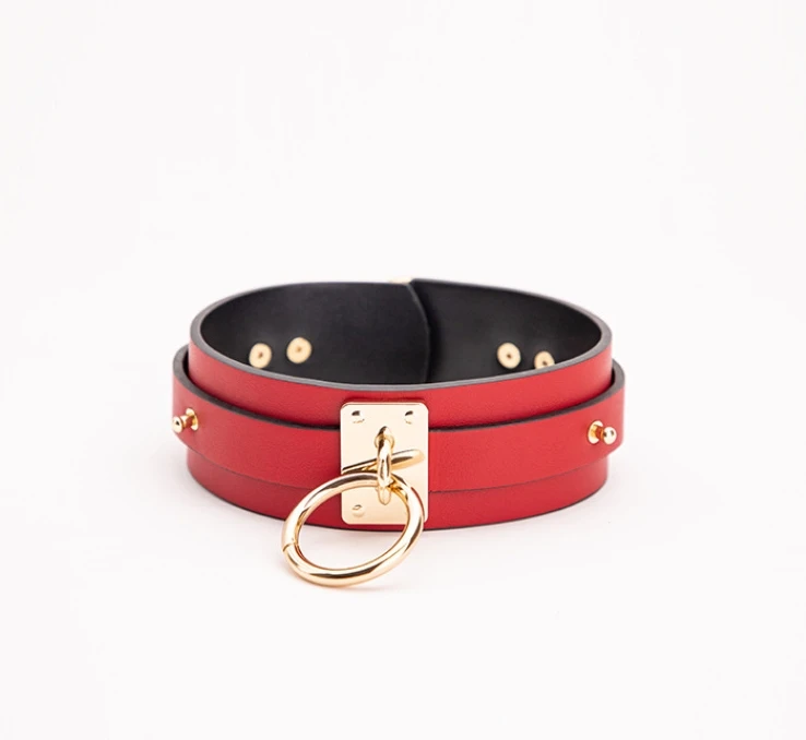  Collar and Leash Red 3
