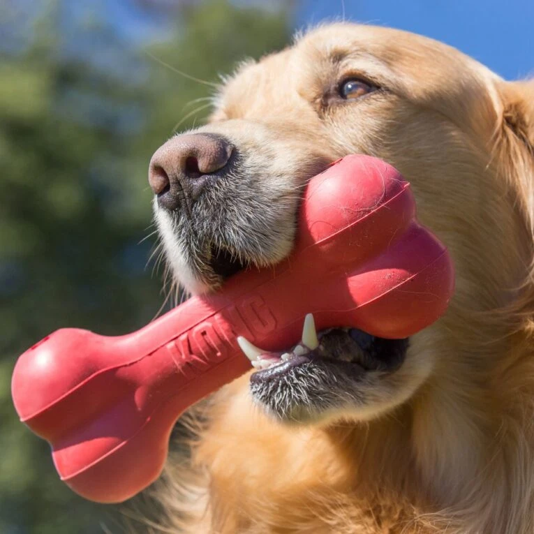KONG Goodie BONE L 3