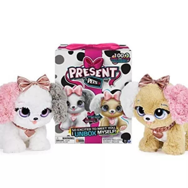 Present pets Fancy