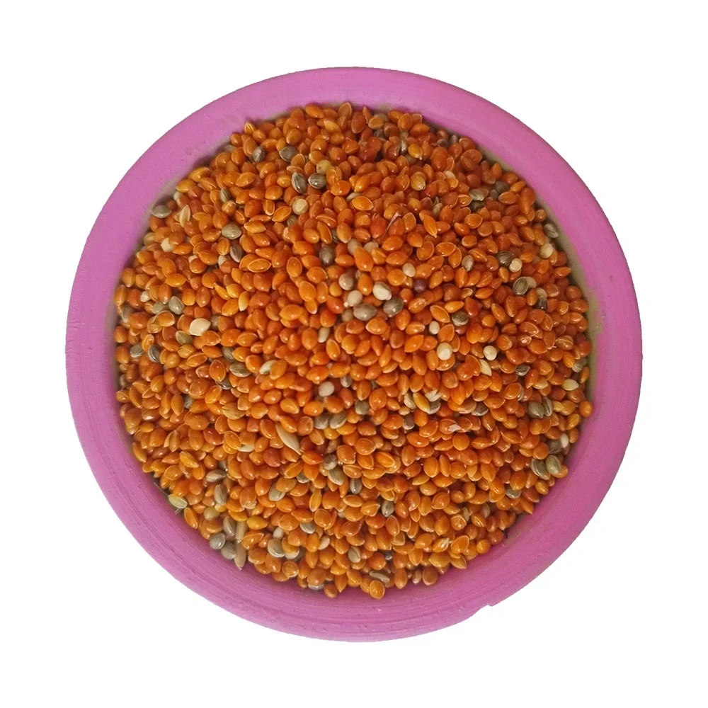 Semillas de Mijo Rojo 1 Kg Smr-42 2