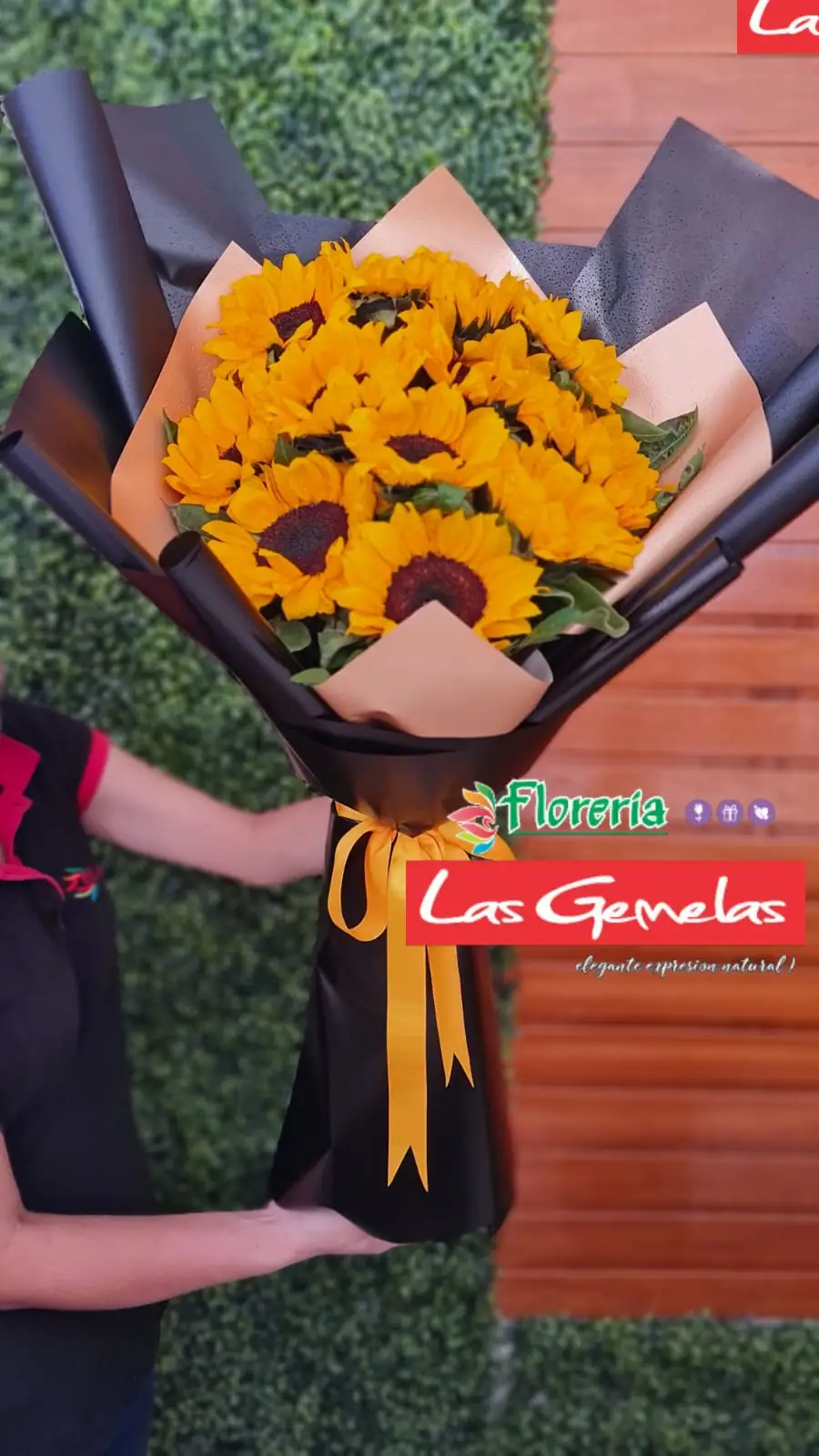 Mega ramo girasol