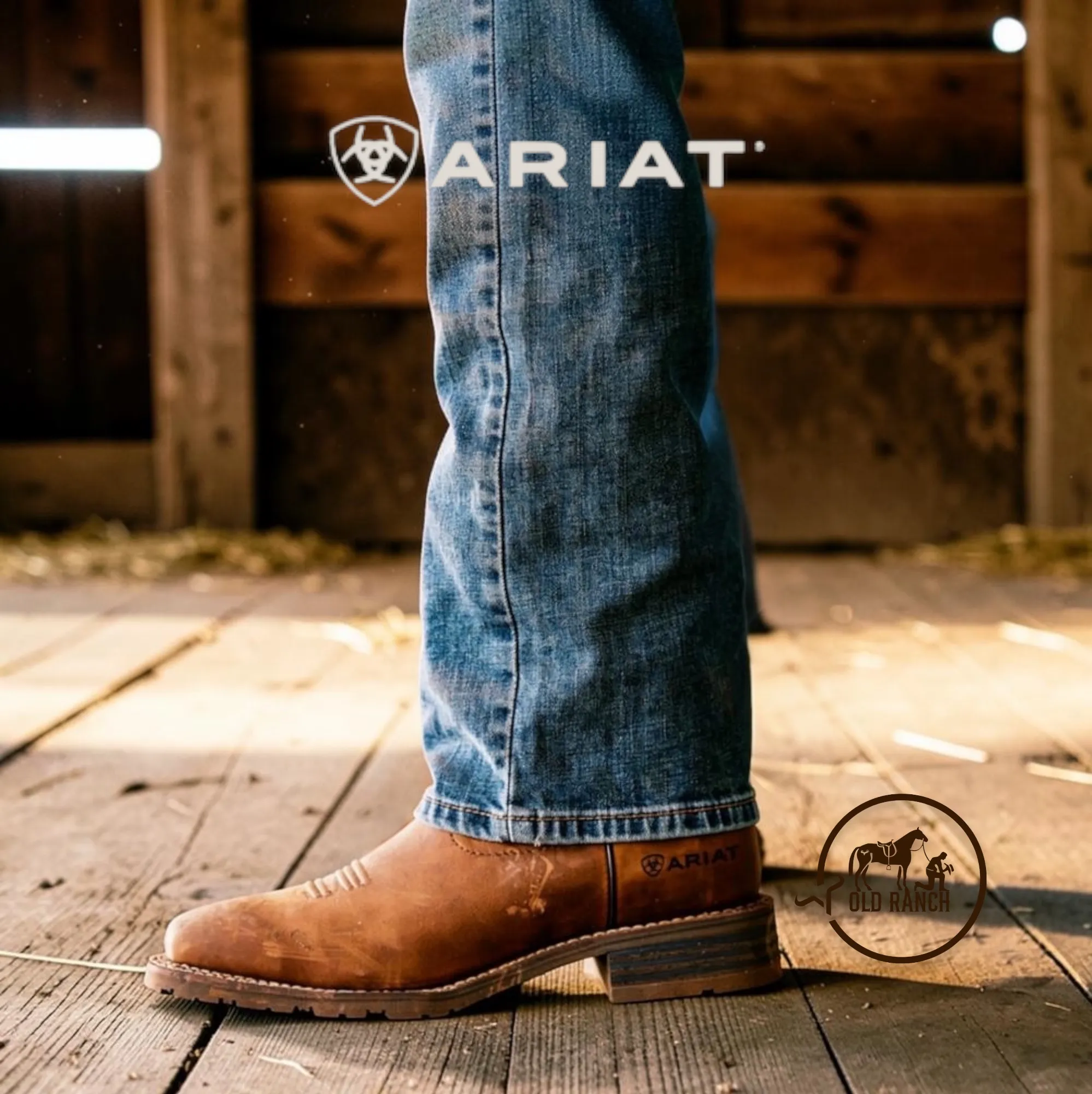 ARIAT 4