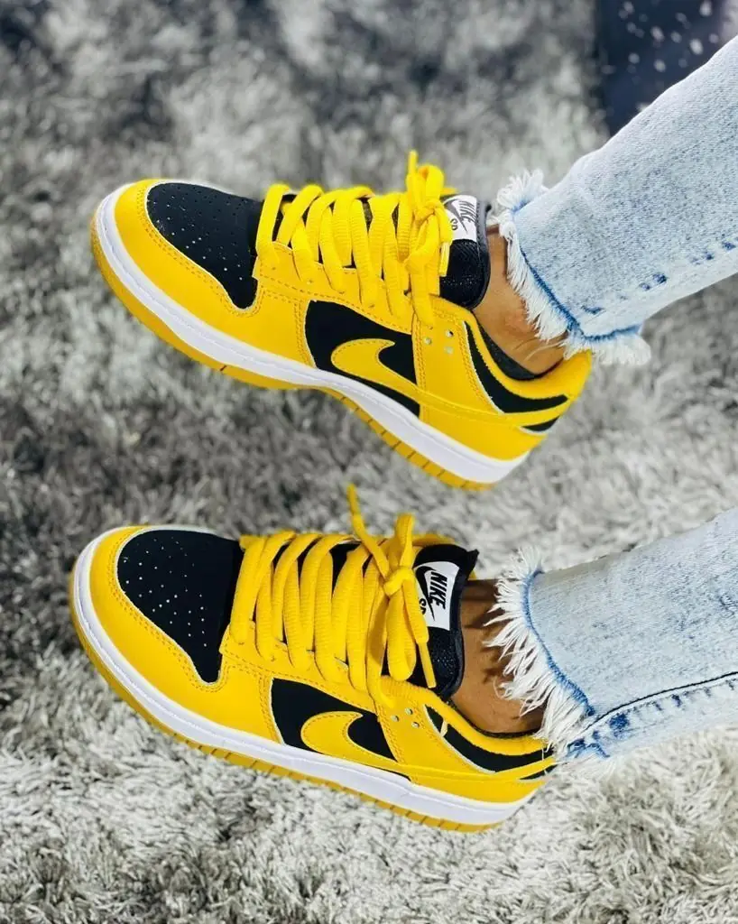NIKE SB DAMA AAA