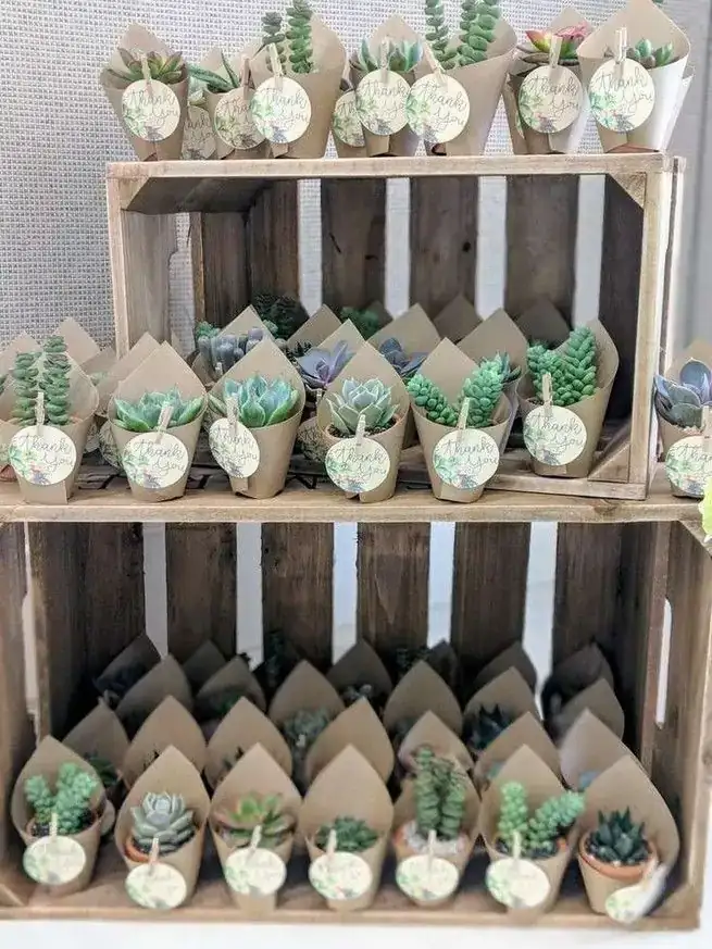 Recuerdos suculentas decoradas kraf
