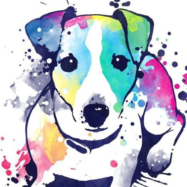 Jack Russell Terrier