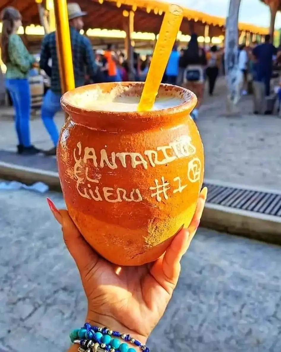 TEQUILA, COLUMPIO EXPREMO, MIRADOR DE CRISTAL Y CANTARITOS EL GÜERO  2
