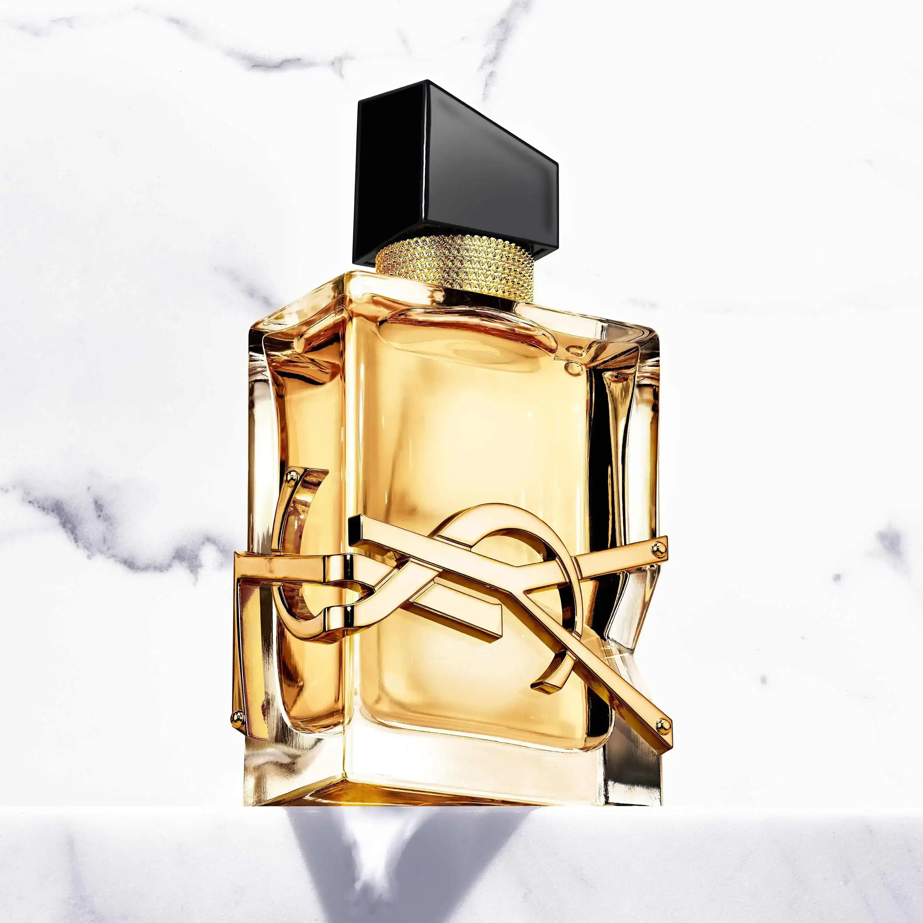 Libre Yvessaintlaurent 
