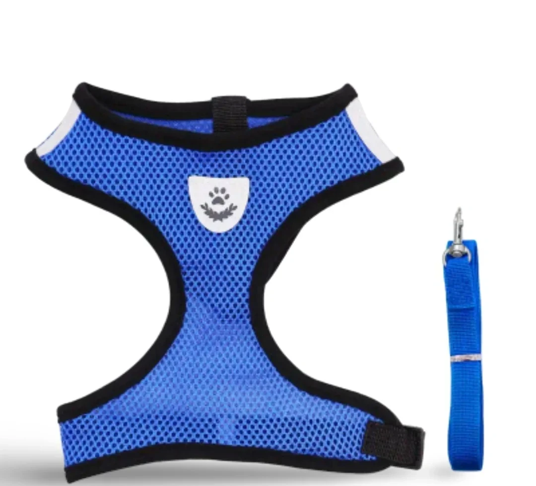 Arnes/correa Set Transpirable XL