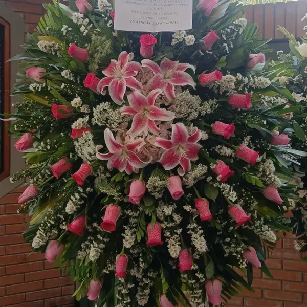 Tripo mujer 2 m.