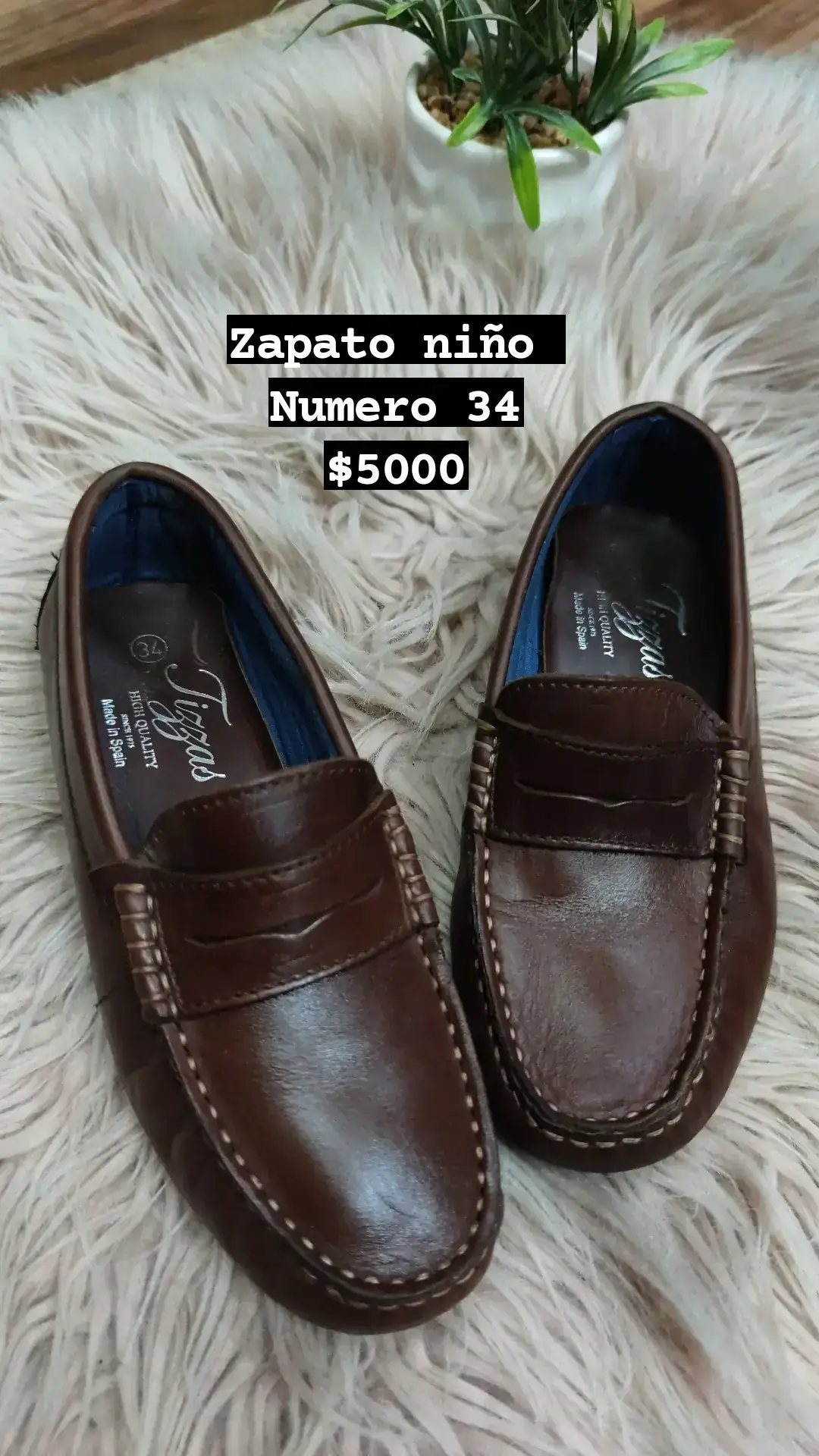 Zapato niño N°34