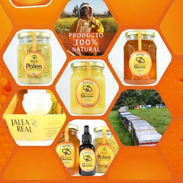 Apiterapia Productos de la Colmena