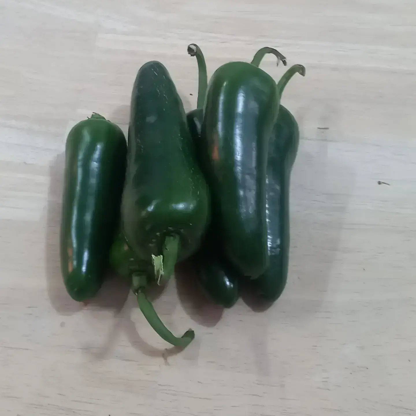 Chile jalapeño 