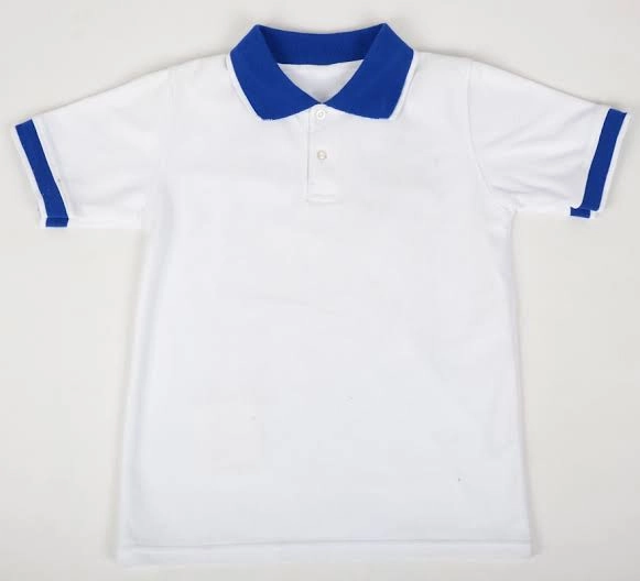 Polo camisero cuello turquesa 