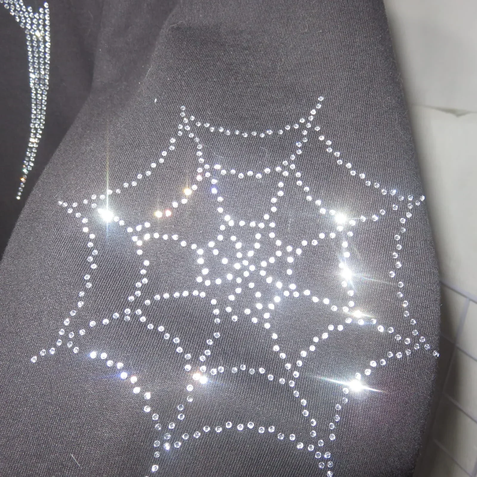 Sudadera de Araña en pedrería 6