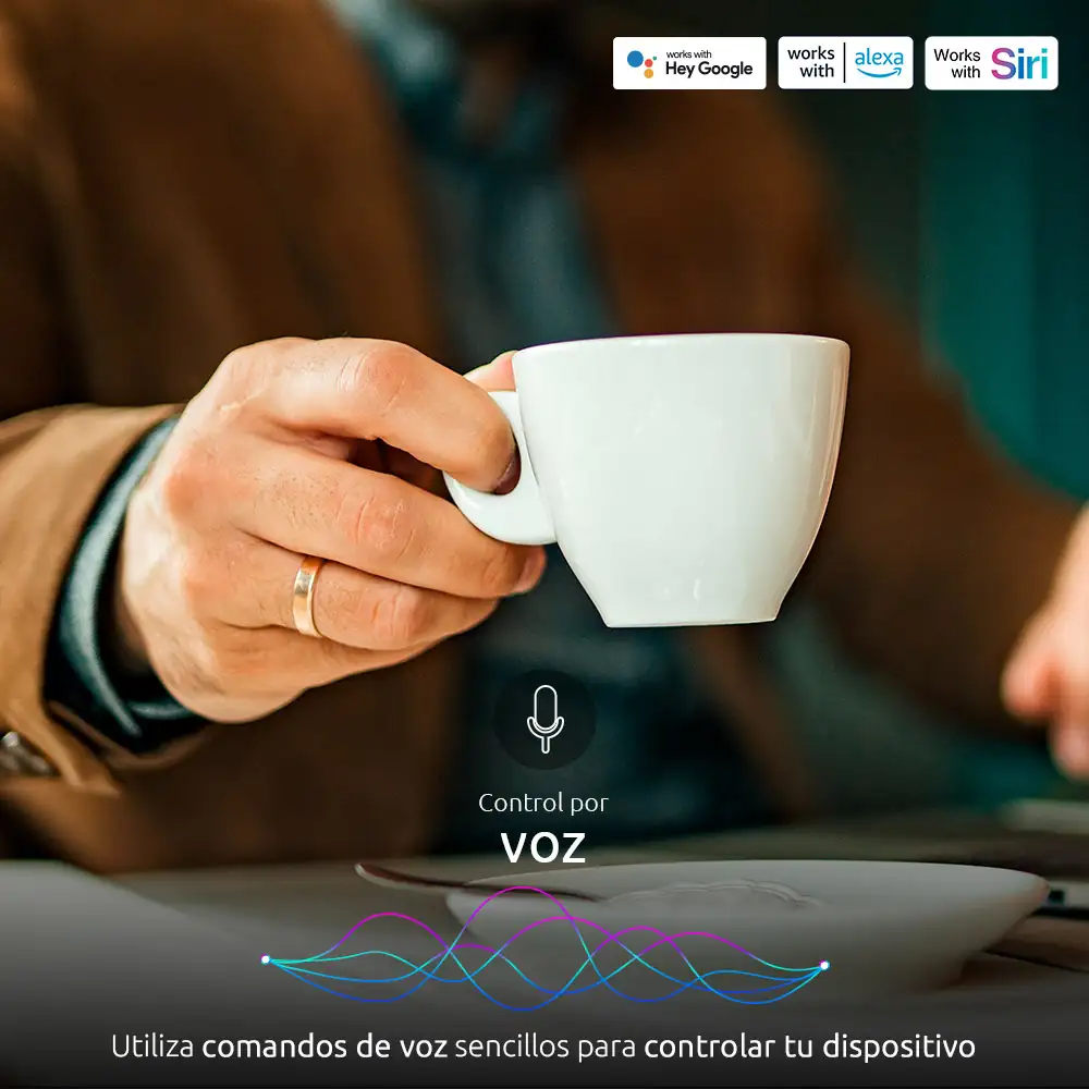 Regleta inteligente Wi-Fi para interior 110V 3