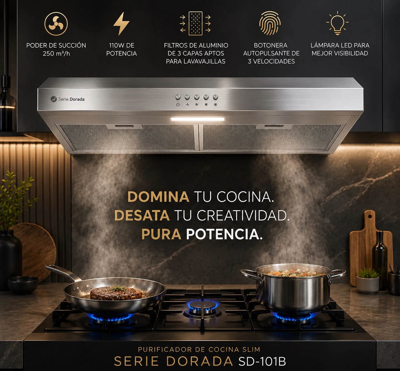 PURIFICADOR EXTRACTOR SERIE DORADA 60CM INOX C/SALIDA 