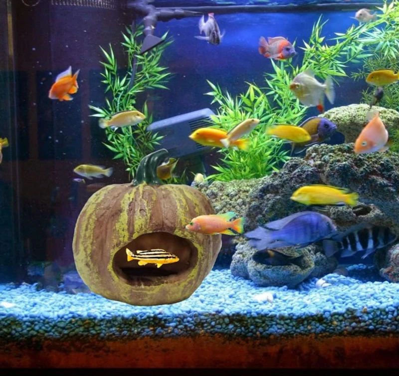 Adorno de Resina Calabaza Escondite de Peces NHSZ-367 3