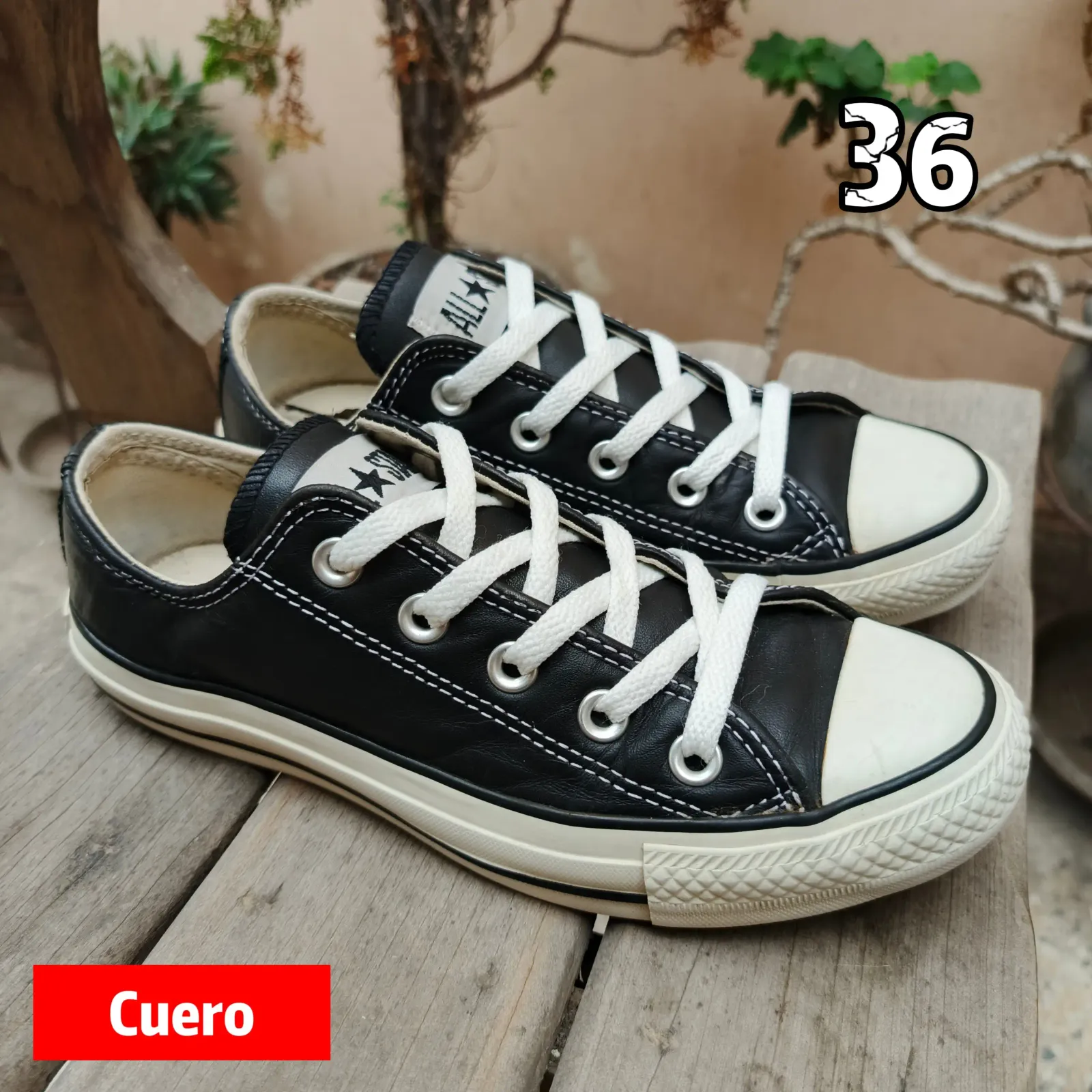 Converse All Star 