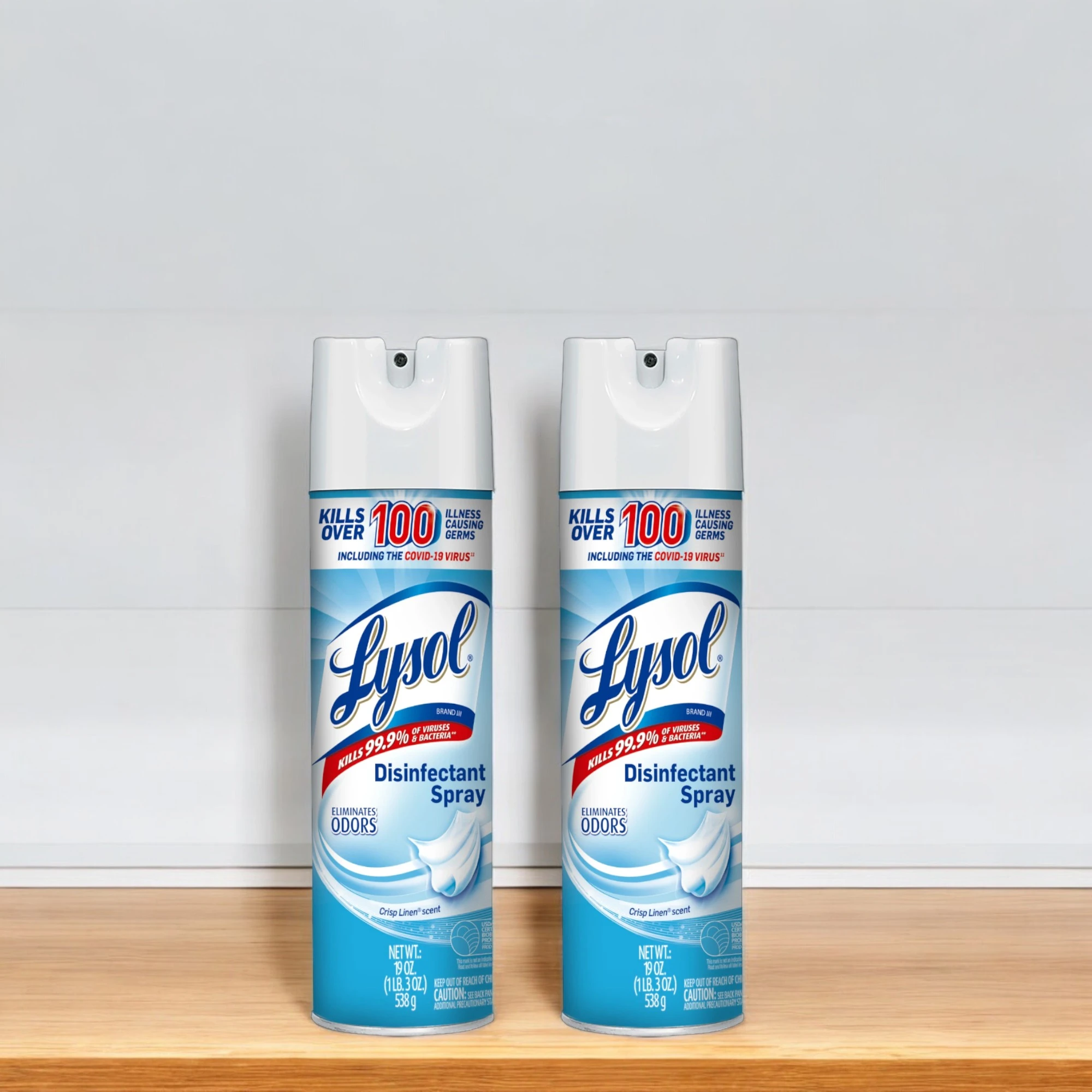 DESINFECTANTE LYSOL EN SPRAY 19 ONZ