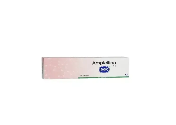 AMPICILINA 1 G X 100 CAPS MK