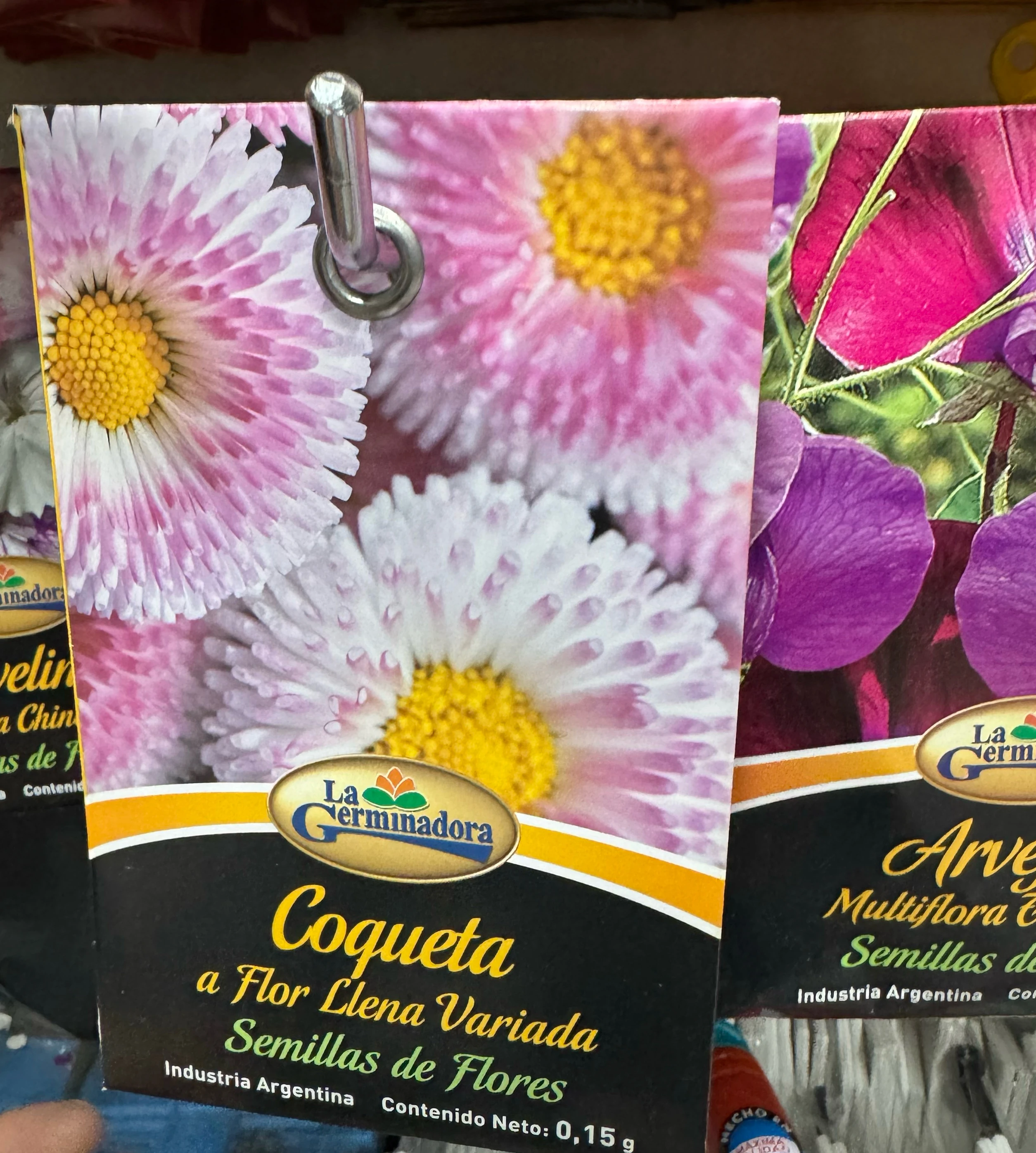 Coqueta semillas de flor 