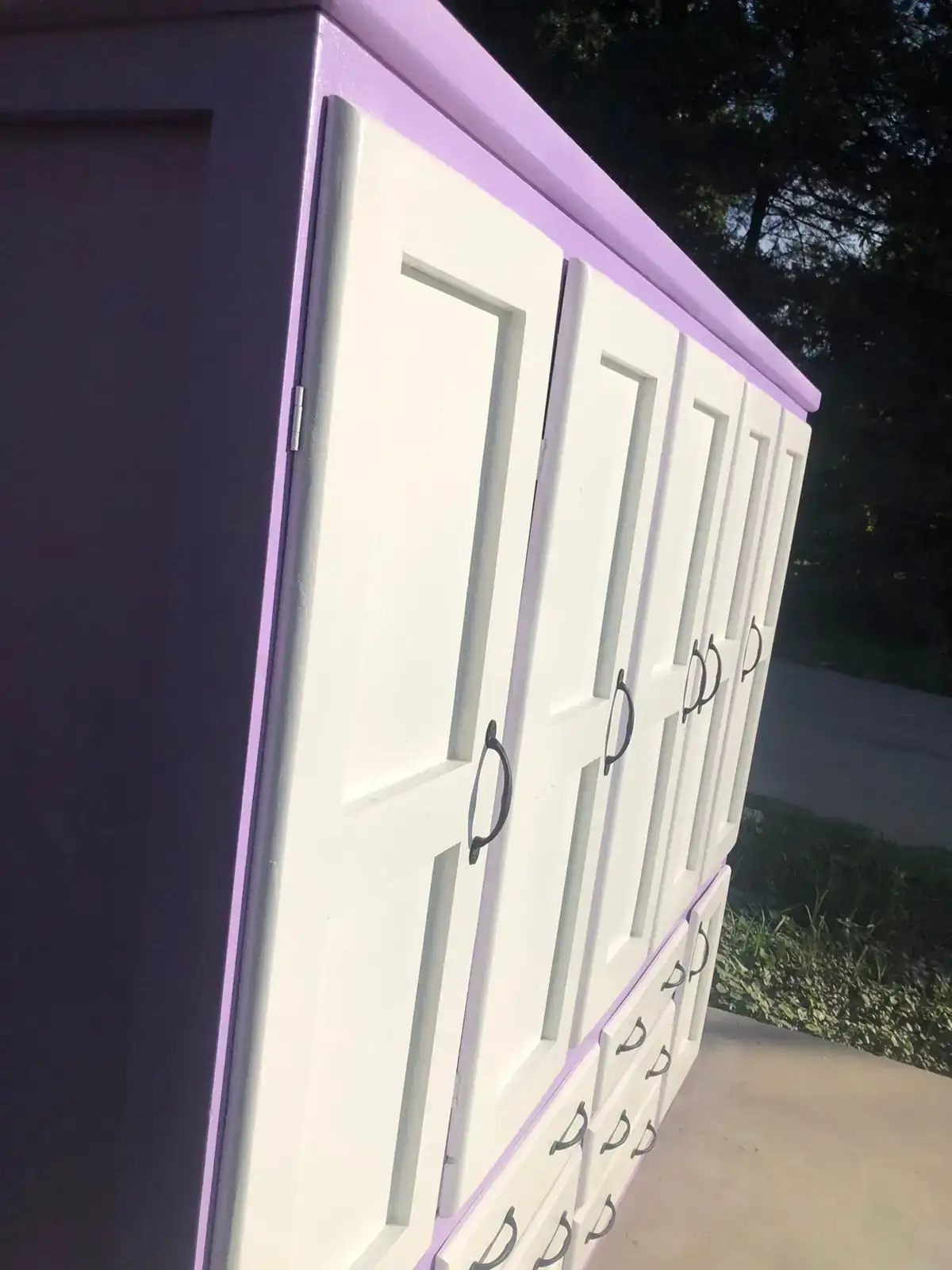 PLACARD Violet  3