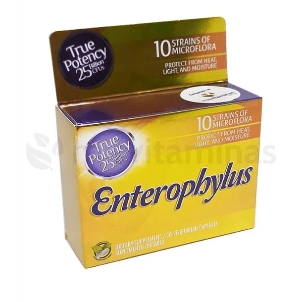 Enterophylus