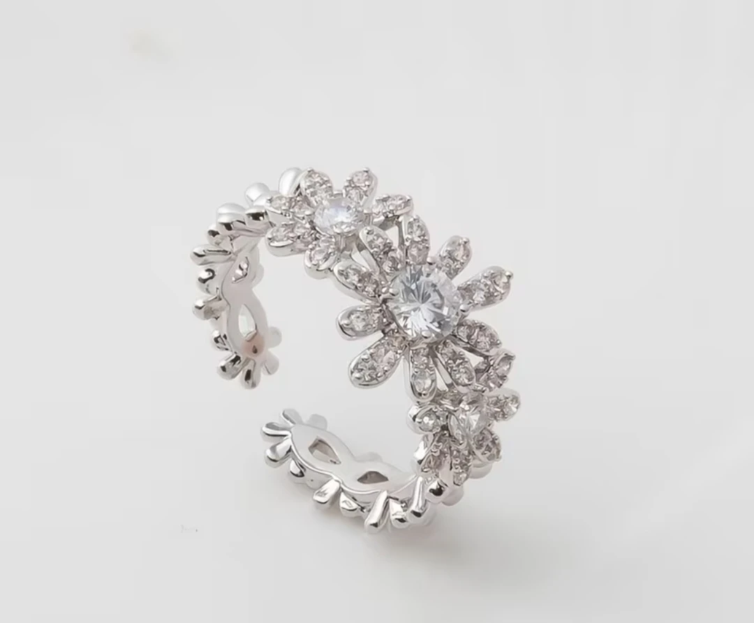 Anillo