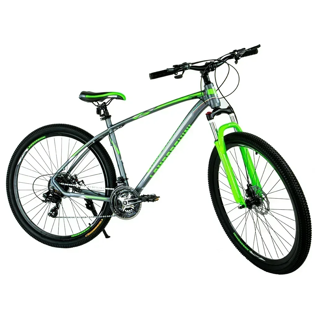 Lamborghini Rod. 29 Gris / Verde Talle L