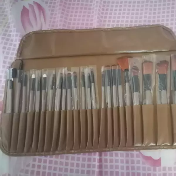 Brochas profesionales