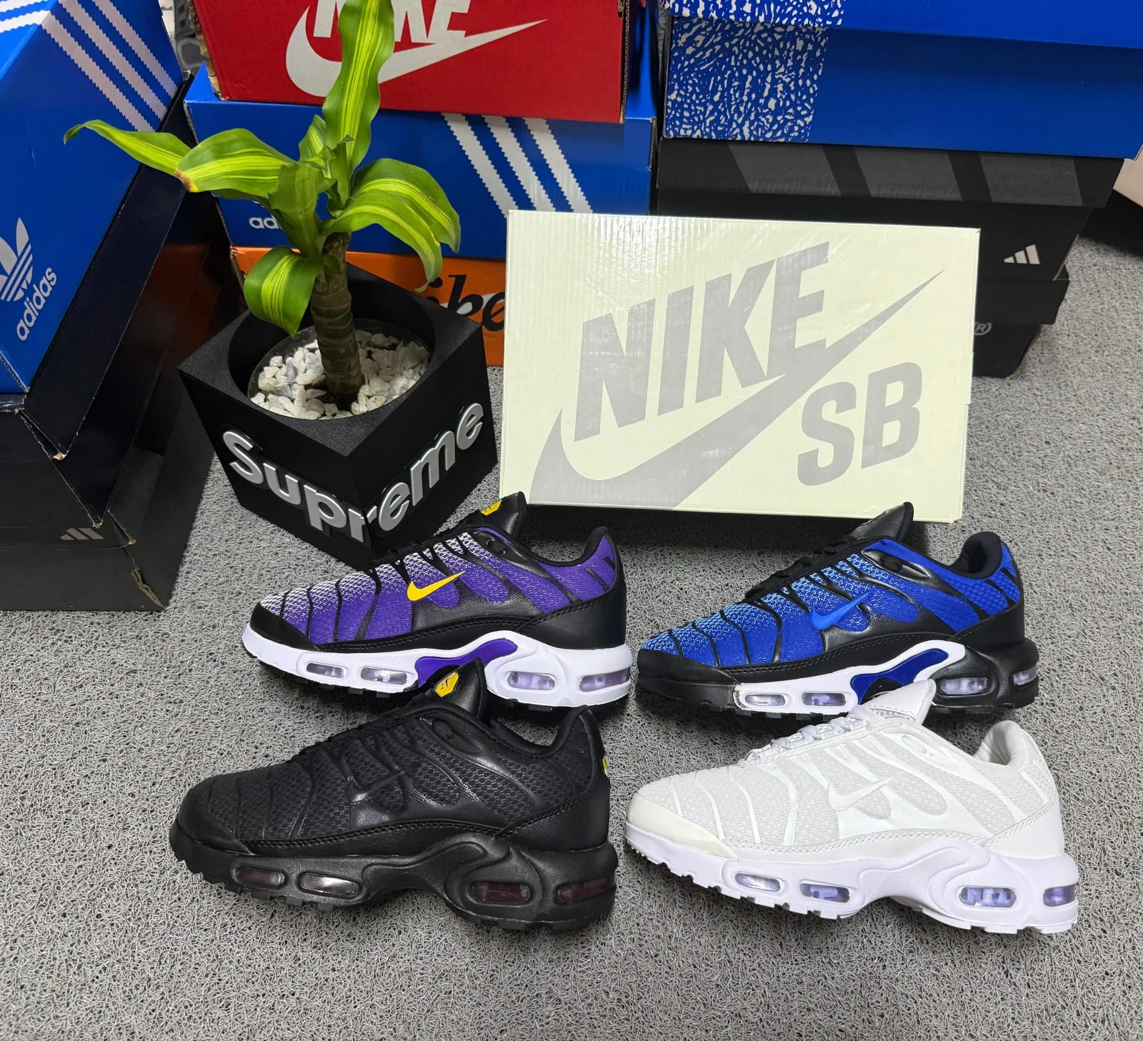 PROMOCIÓN NIKE AIR MAX TN PLUS + CAJA 3