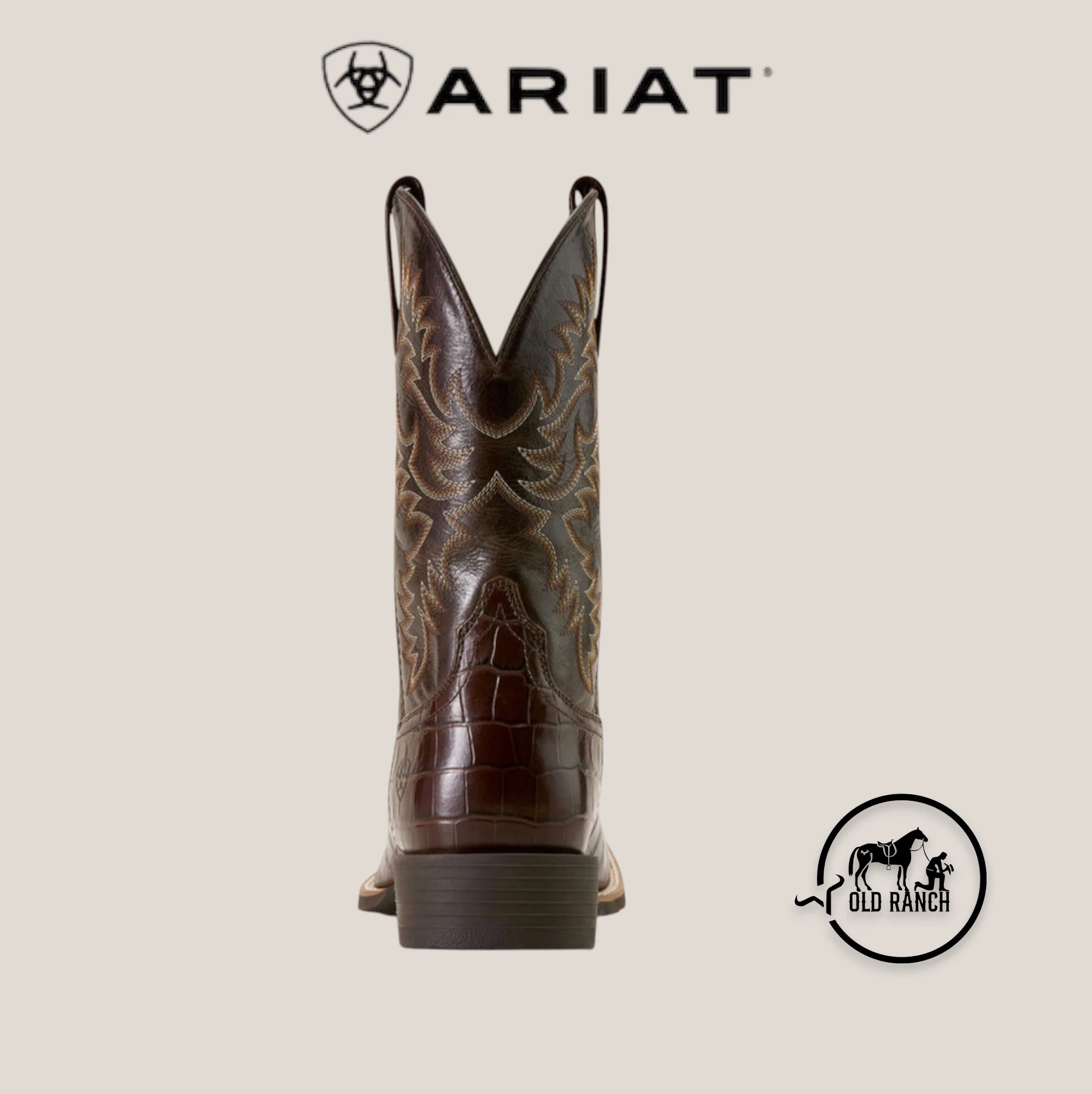 ARIAT 4