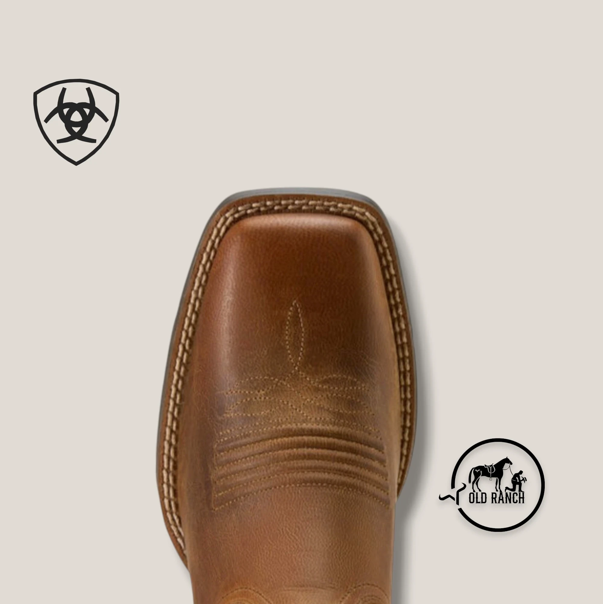 ARIAT Booker Chelsea Wide 6