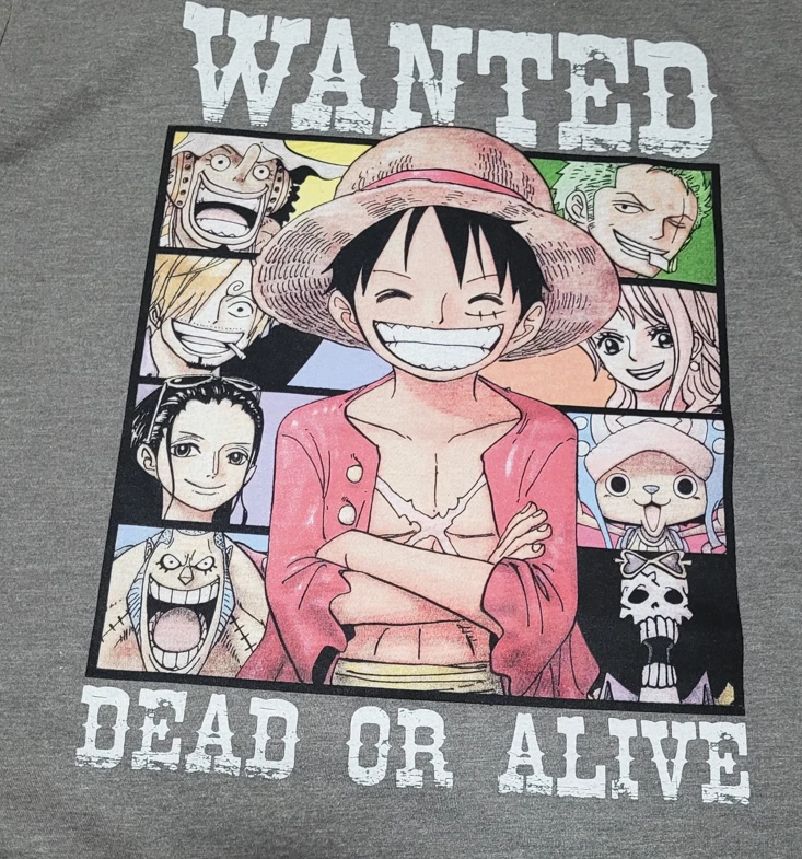 One Piece (M-L-XL) 2