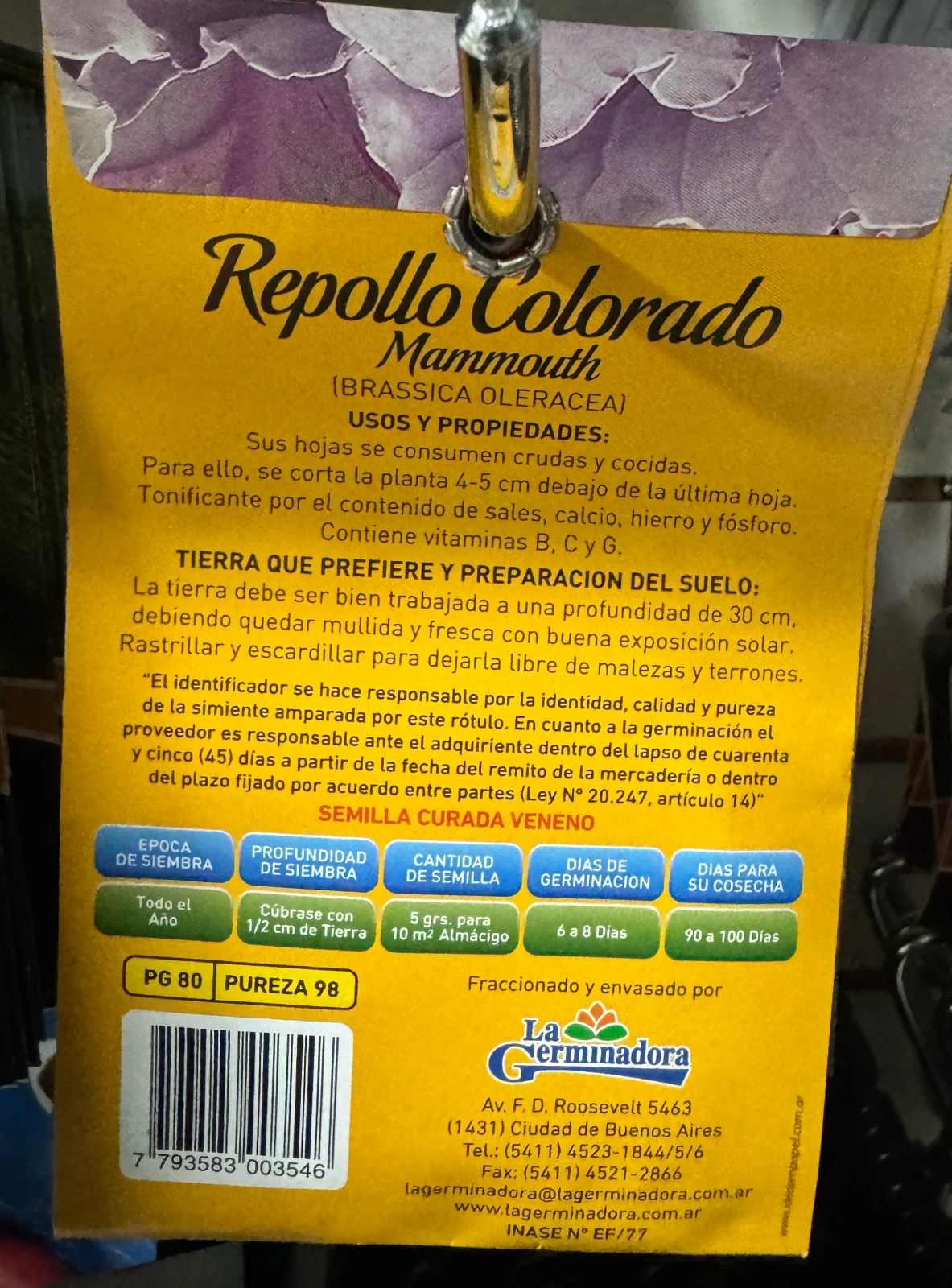 Repollo Colorado  2