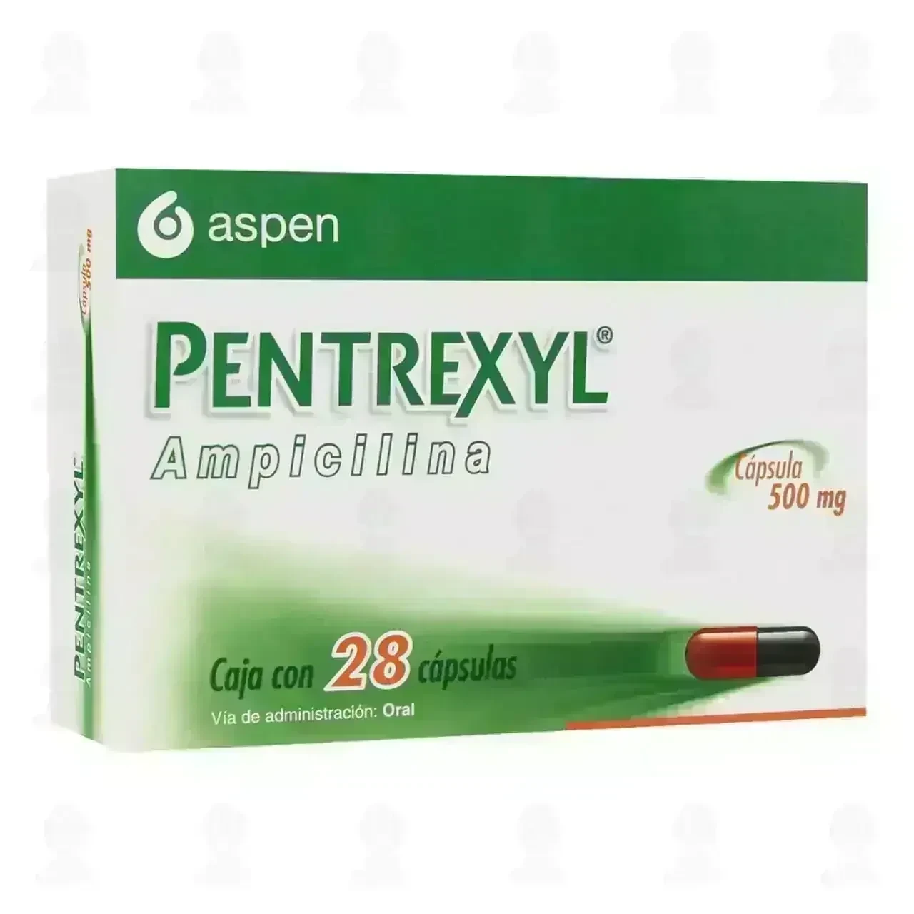Pentrexyl 500 mg, 28 Cápsulas (Ampicilina) 