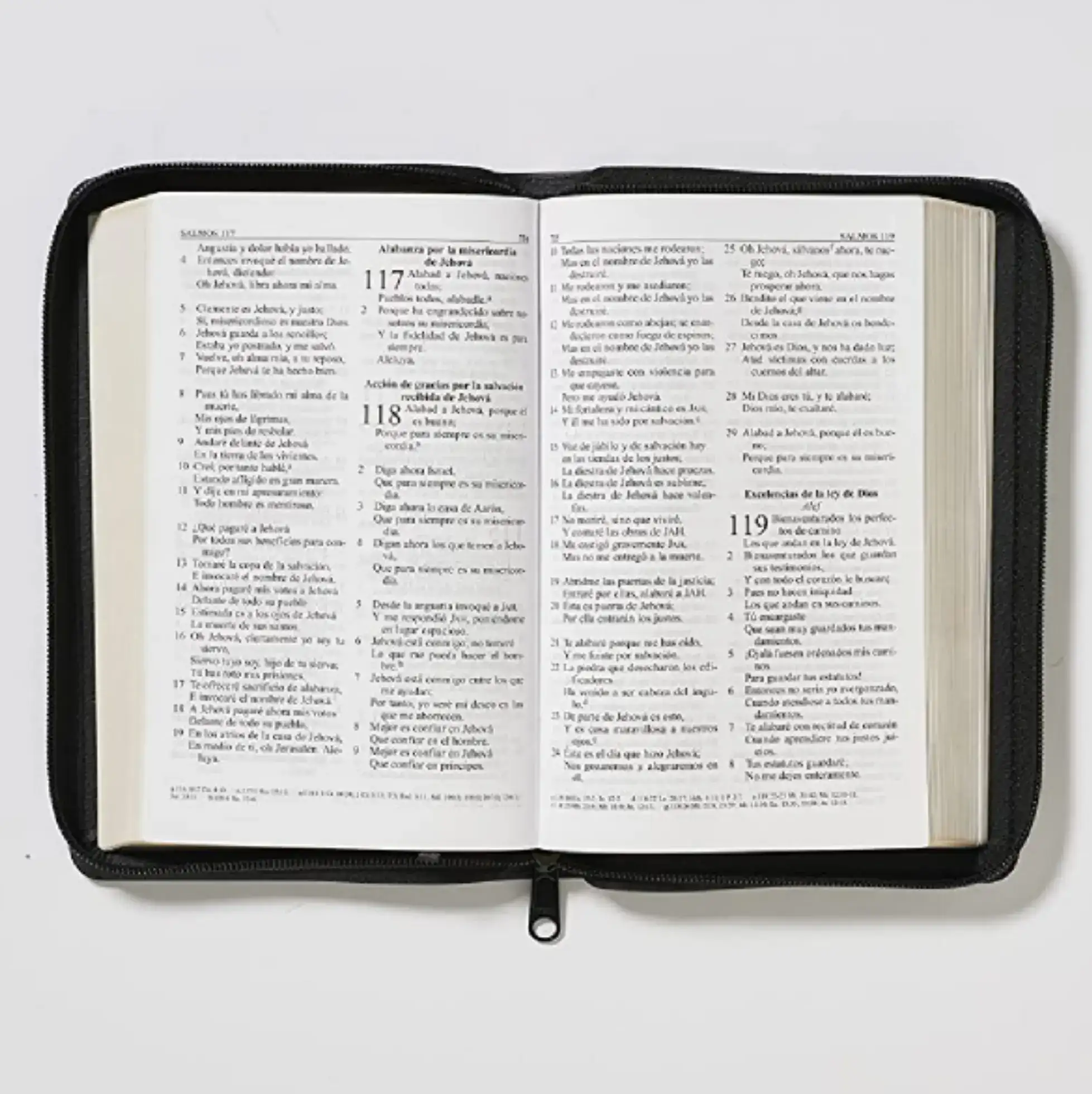 Biblia portátil con cierre RVR60 8