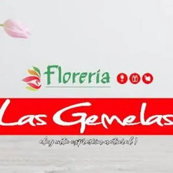 Florería las gemelas