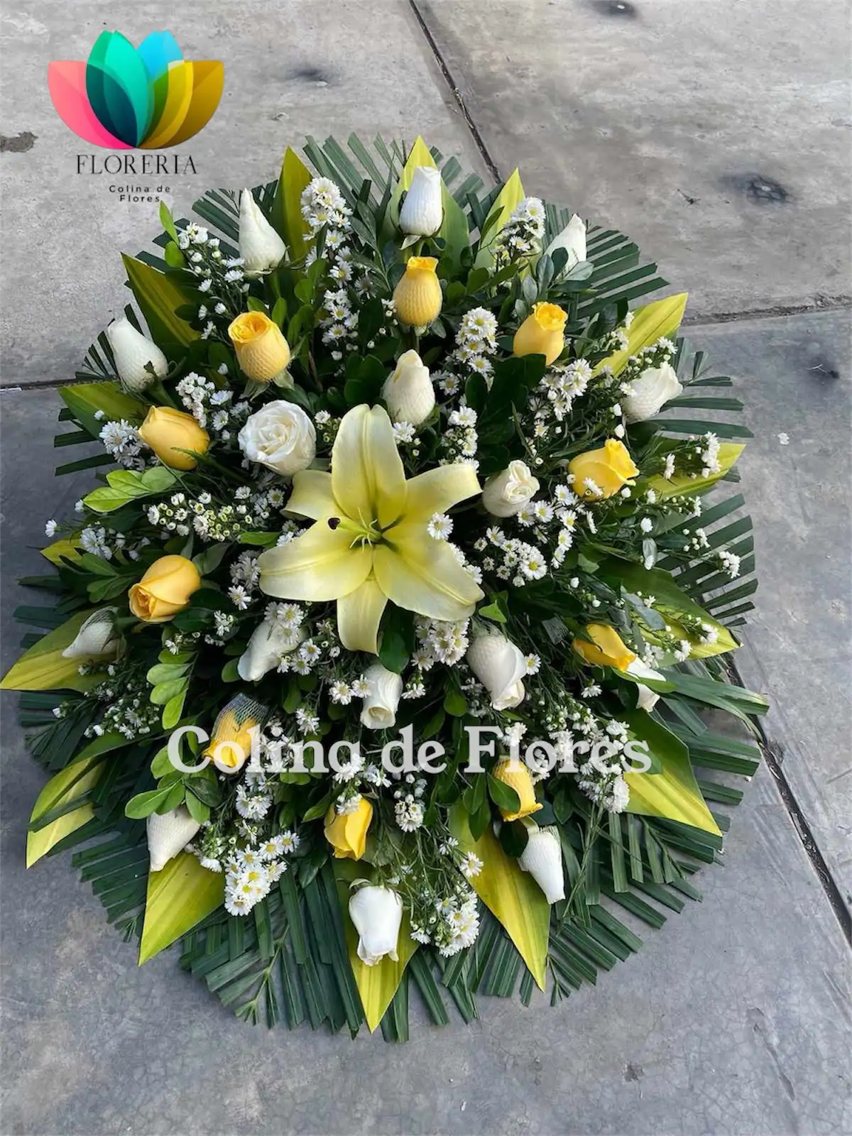 Lágrima amarillo y blanco