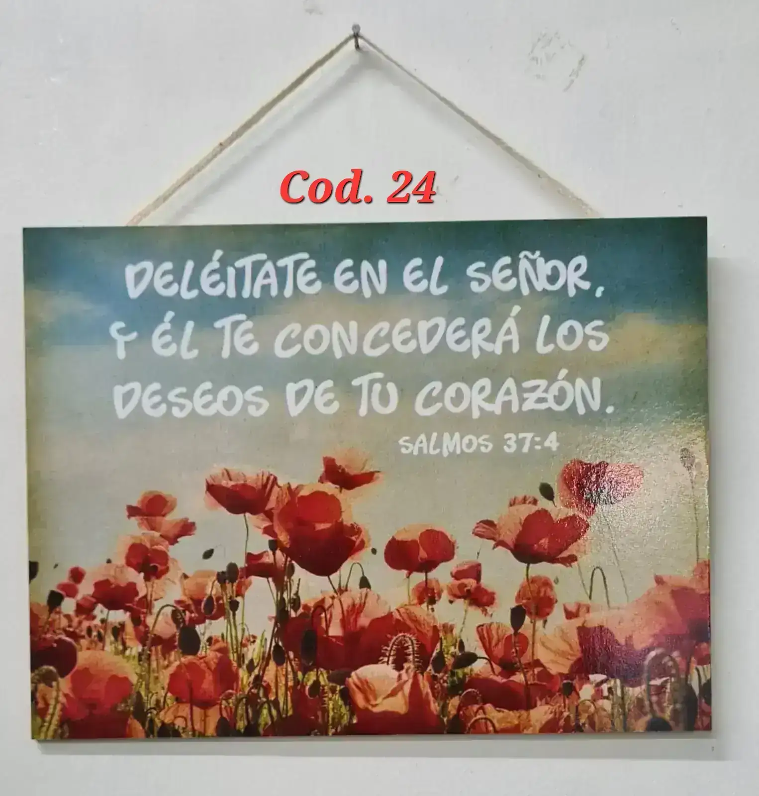 Cuadro simple chico. 24