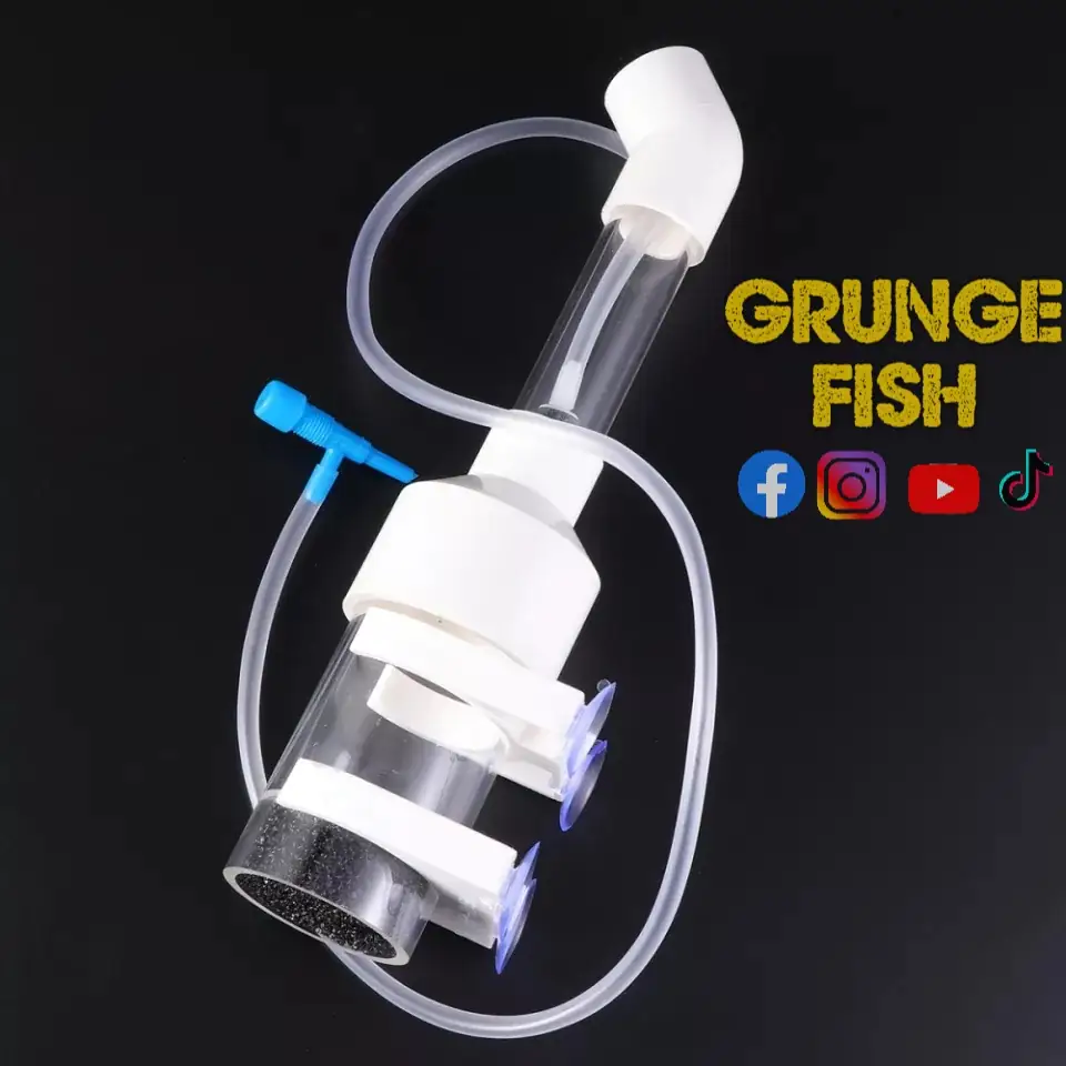 𝗜𝗡𝗖𝗨𝗕𝗔𝗗𝗢𝗥𝗔 𝗣𝗔𝗥𝗔 𝗛𝗨𝗘𝗩𝗢𝗦 𝗗𝗘 𝗣𝗘𝗖𝗘𝗦 𝗖𝗜𝗖𝗟𝗜𝗗𝗢𝗦  4