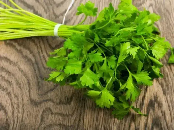 PEREJIL/MANOJO