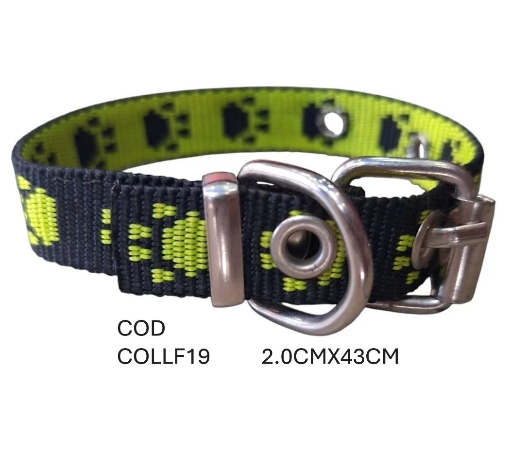 T4 COLLAR FANTASIA