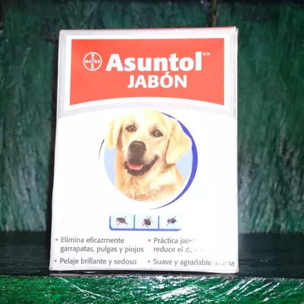 Jabon asuntol