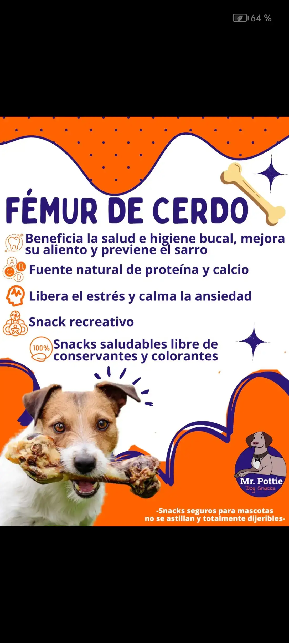 FÉMUR DE CERDO 
