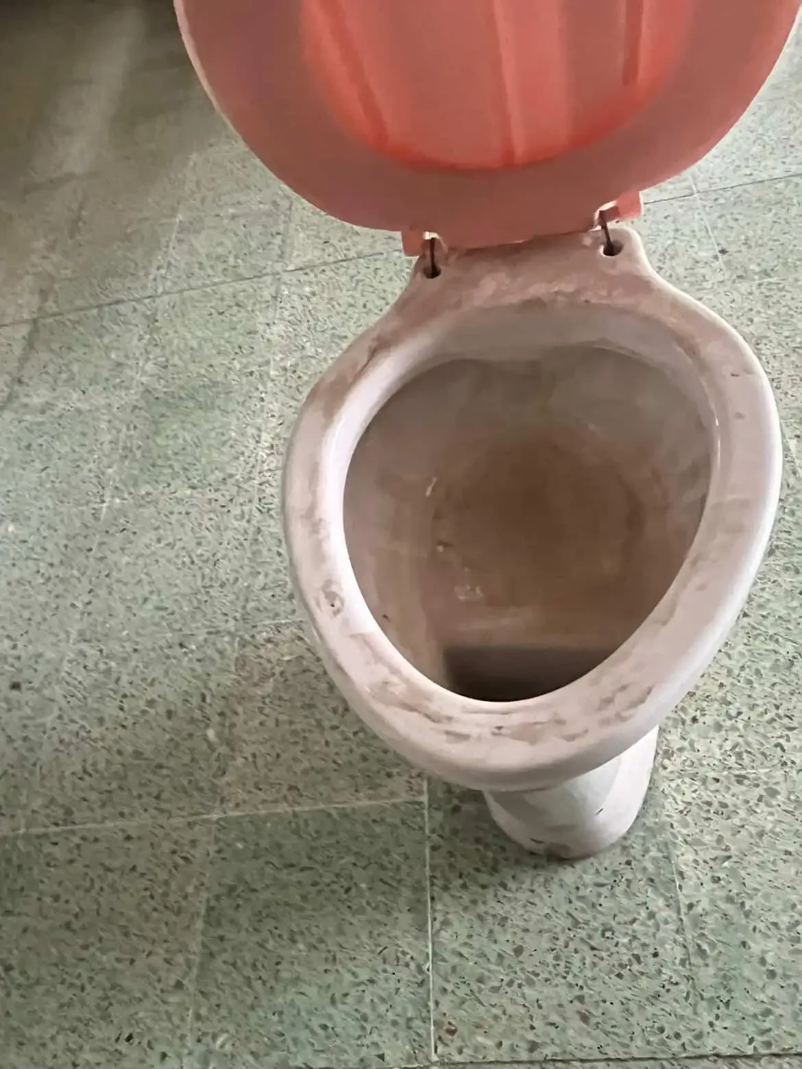 Bacha Ferrum más inodoro se pueden vender por separado 4