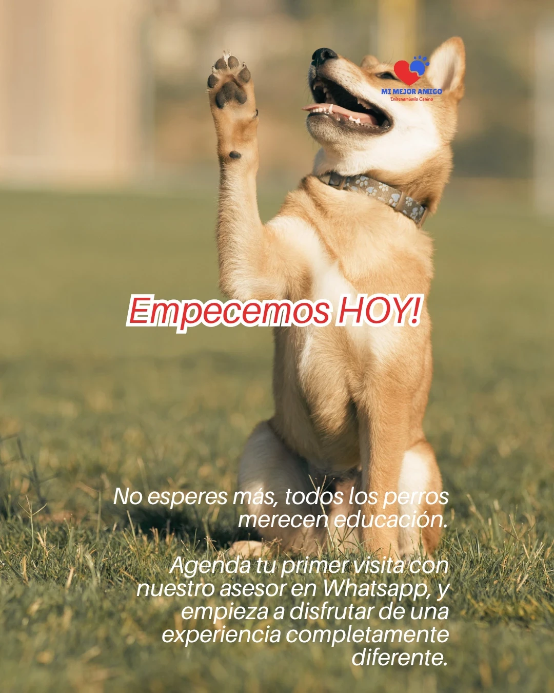 CURSO ADULTOS 7