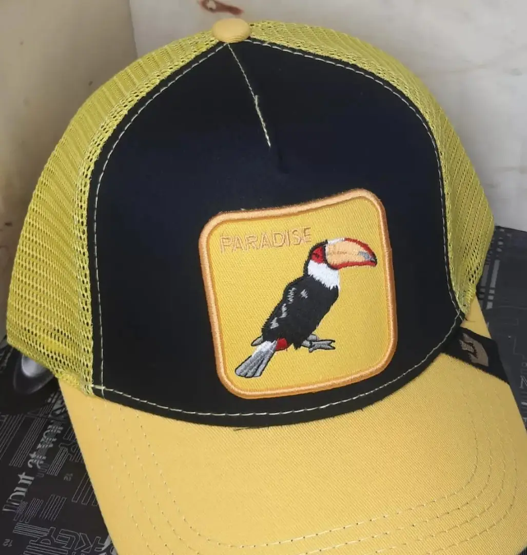 Gorras  4
