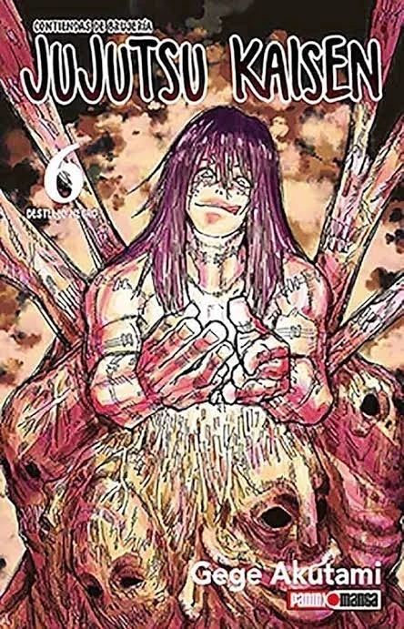 JUJUTSU KAISEN 6