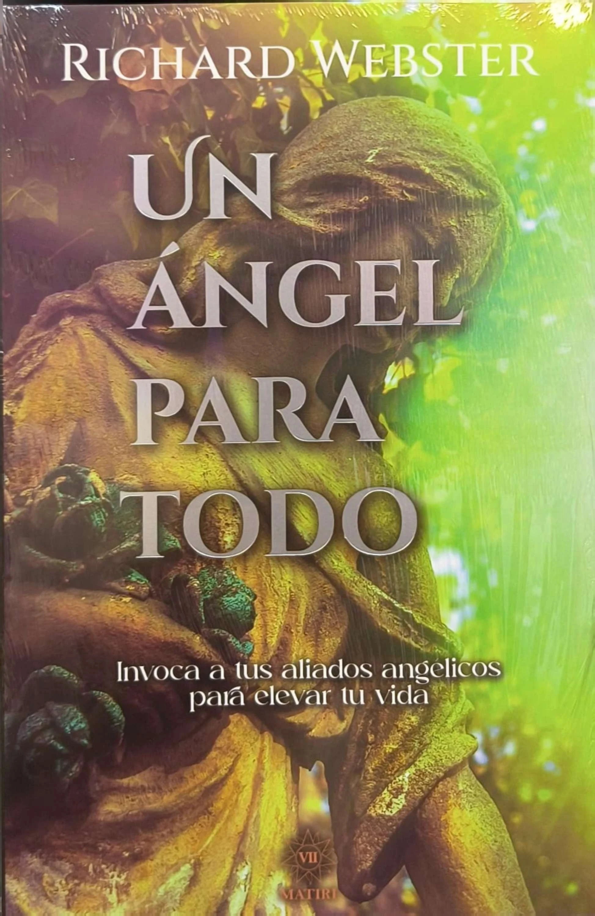 MT UN ANGEL PARA TODO 